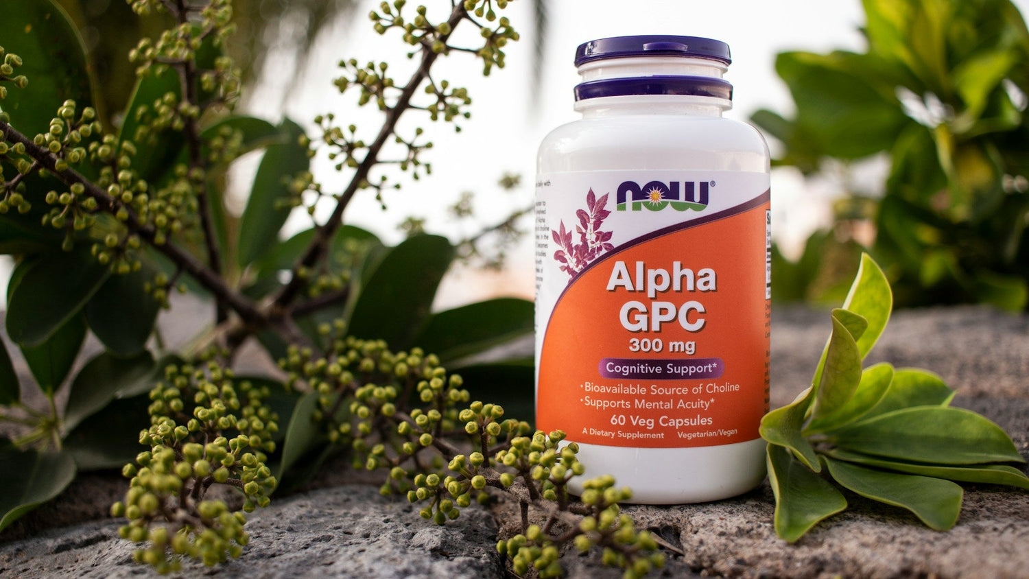 Vegan Supplements